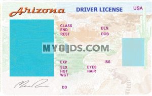 Arizona fake id template made by MyoIDs