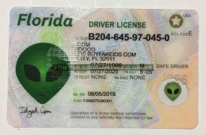 Florida fake id made by idgod.