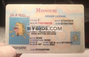 Real fake id made by MyoIDs