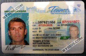 Tennessee fake id template made by Myoids.