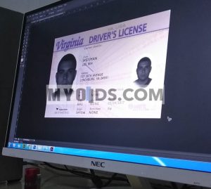 Editing a fake id template on computer screen.